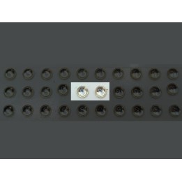 2 Pastilles de phares – Rond Blanc - Ø4 mm