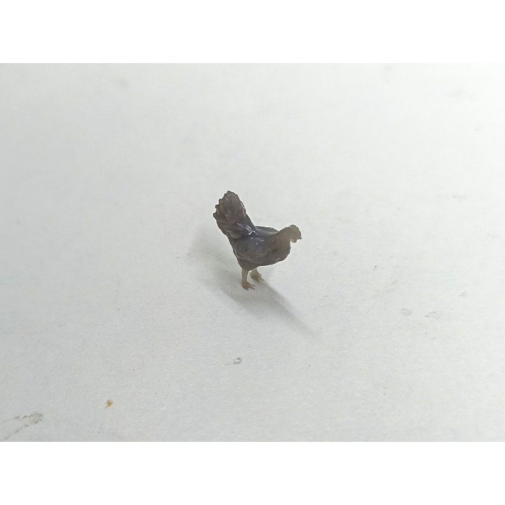 2 poules miniatures 1:43 en résine 3D | Diorama