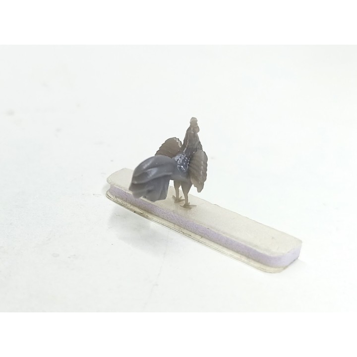 Diorama : 1 coq - H. 12.8 mm - Résine 3D - 1:43