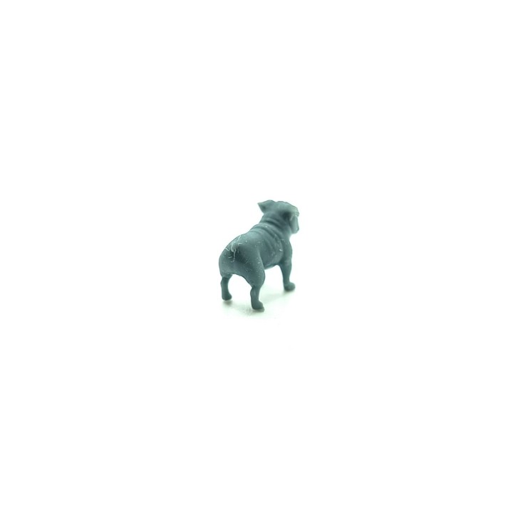 Diorama : 2 Bouledogues Anglais - Résine 3D - 1:43
