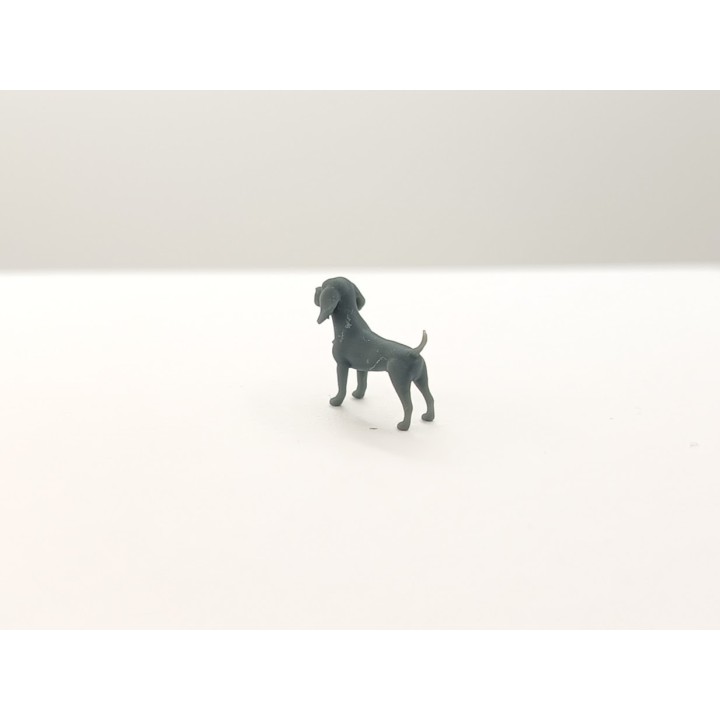 Beagle debout 1:43 – Figurine diorama 3D Creative