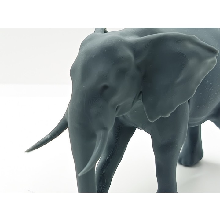 Éléphant 1:43 pour diorama de cirque | 3D Creative