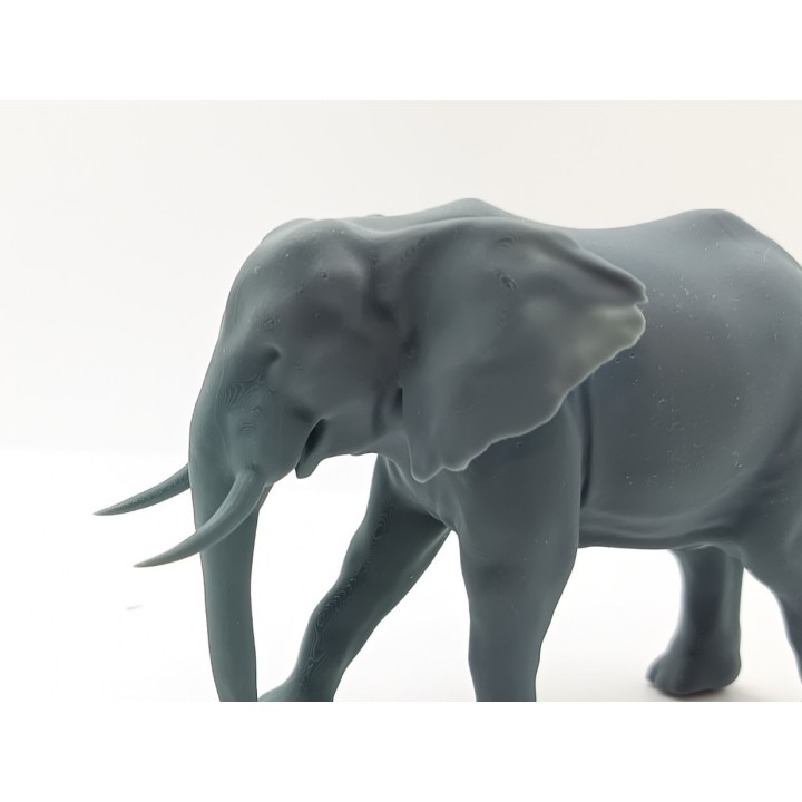 Éléphant 1:43 pour diorama de cirque | 3D Creative