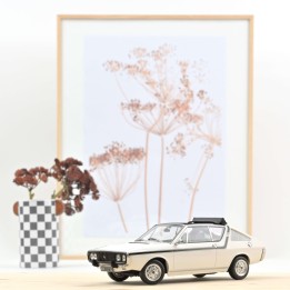 Marketplace - Renault 17 Gordini Découvrable 1975 Blanc - Norev - 1:18