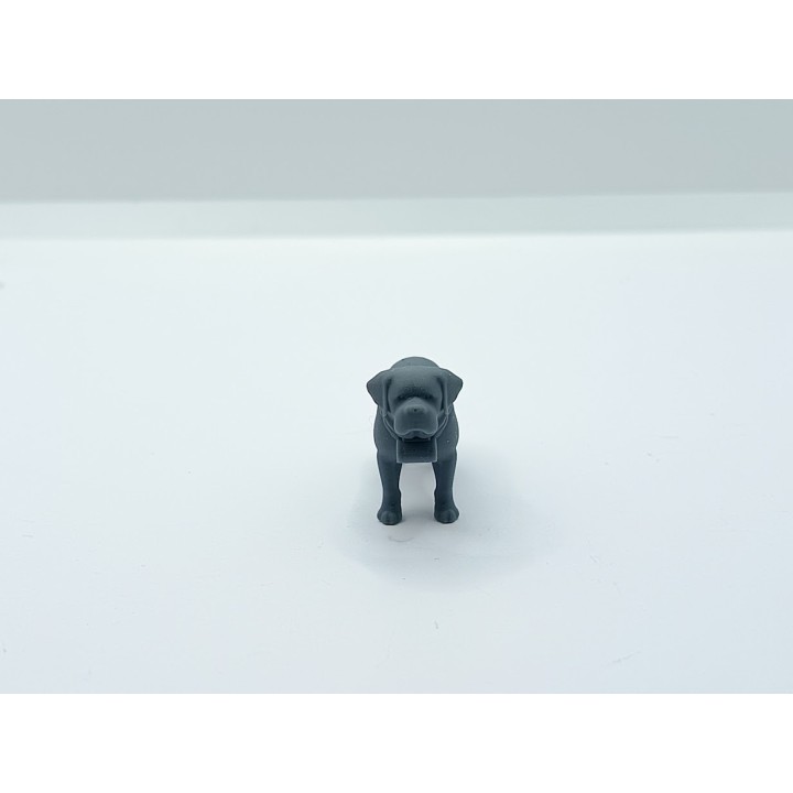 Saint-Bernard miniature 1:43 – 3D Creative