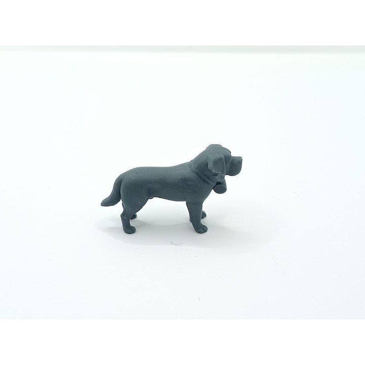 Saint-Bernard miniature 1:43 – 3D Creative
