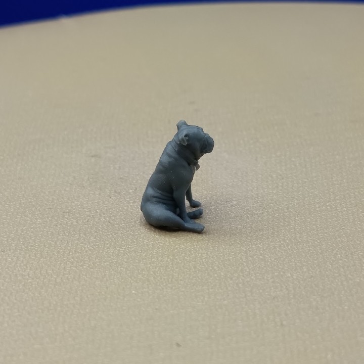 Bulldog anglais assis 1:43 – 3D Creative