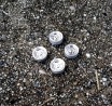Jantes en alu avec insert en white metal - Ech. 1:43 - ø9.50 mm