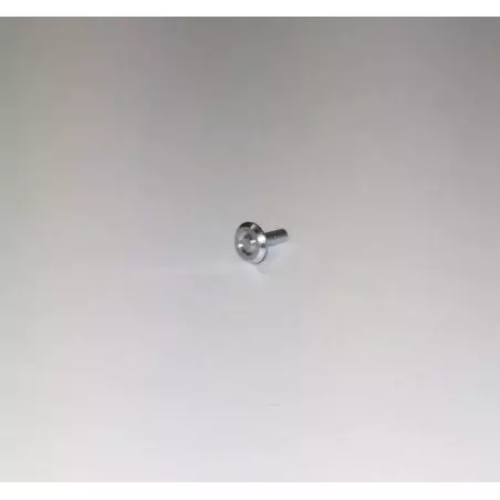 10 rivets en aluminium - Ø 3 mm - CPC