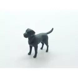 Diorama : Labrador - Résine 3D - 1:43
