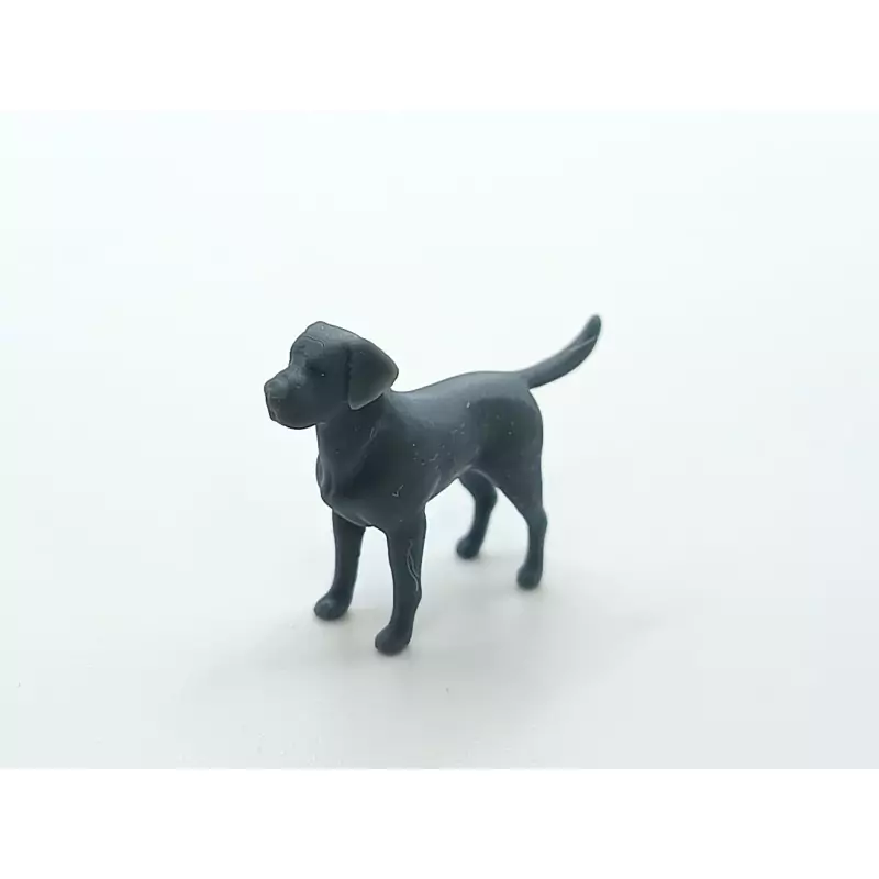 Diorama : Labrador - Résine 3D - 1:43