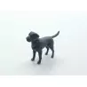 Diorama : Labrador - Résine 3D - 1:43