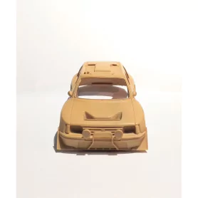 Peugeot 205 Turbo 16 "Grand Raid" au 1/43ème