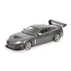 Marketplace : JAGUAR HKR GT3 gris métal 2008 - Minichamps - 1:18
