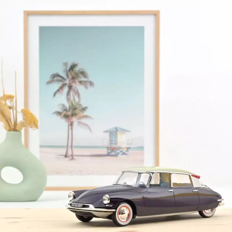 Marketplace - Citroën DS 19 1956 Aubergine et Champagne - Norev - 1:18