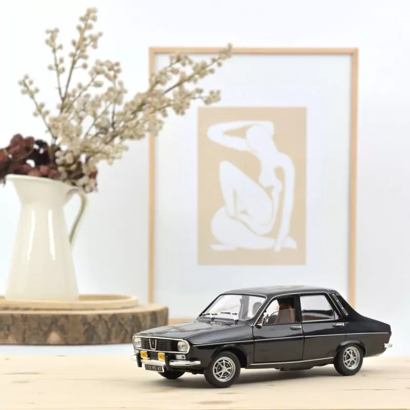 Marketplace - Renault 12 TS 1973 Noir - Norev - 1:18