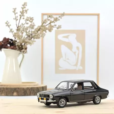 Marketplace - Renault 12 TS 1973 Noir - Norev - 1:18