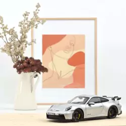 Marketplace - Porsche 911 GT3 2021 Argent - Norev - 1:18