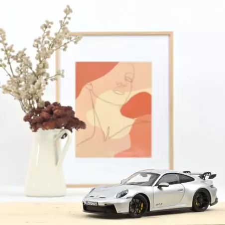 Marketplace - Porsche 911 GT3 2021 Argent - Norev - 1:18