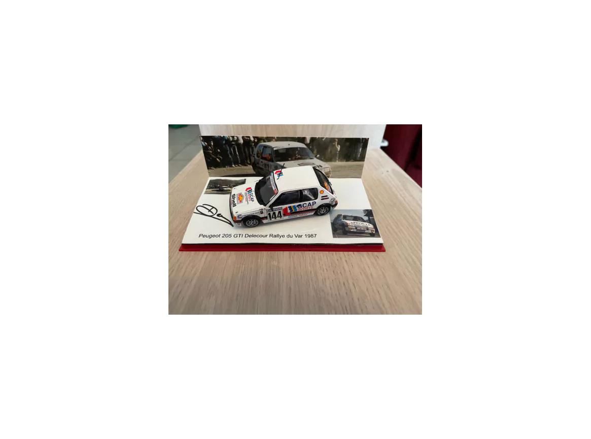Marketplace - Kit Peugeot 205 GTI Delecour Rallye du Var 1987 - JPS - 1/43